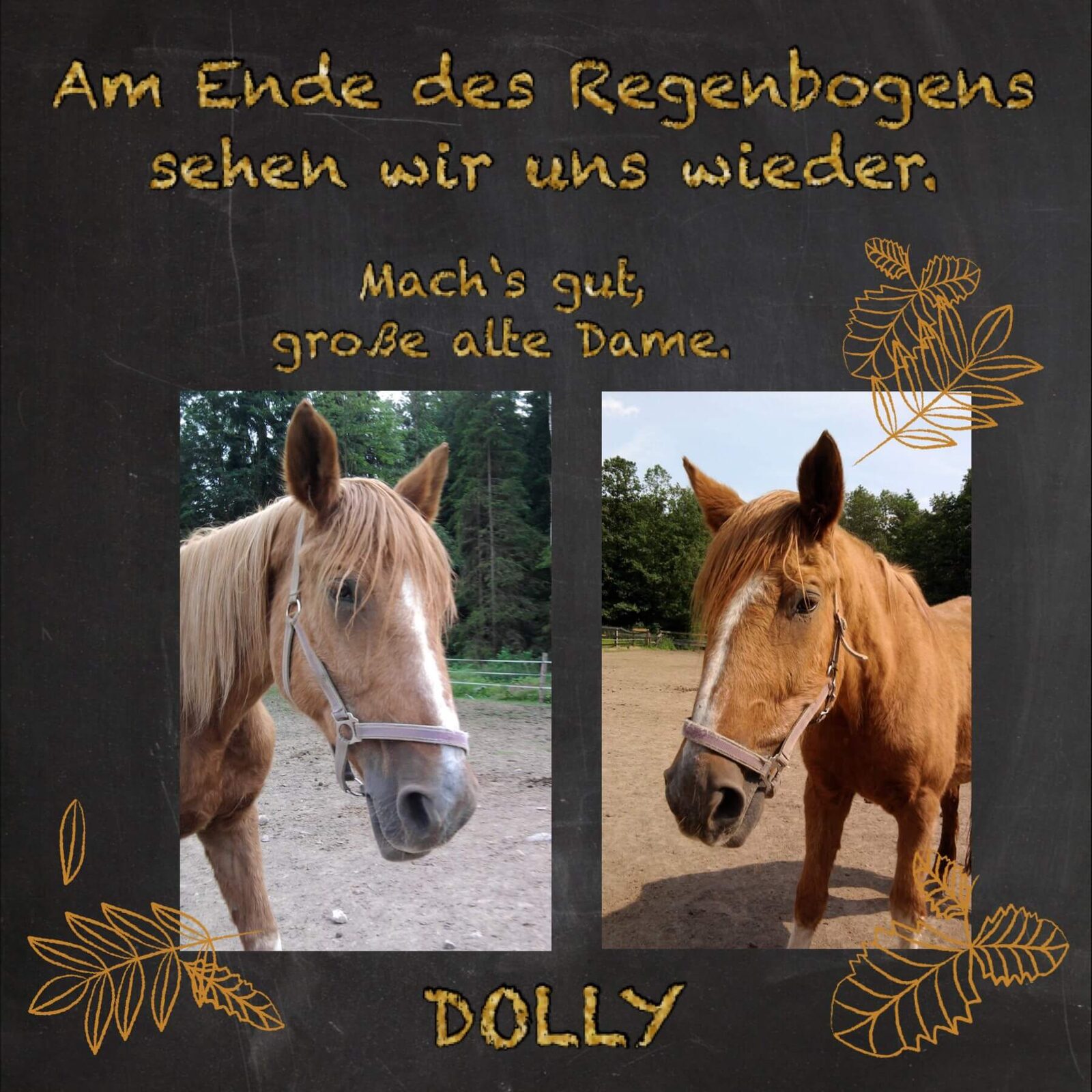 Erinnerungsfoto von Dolly