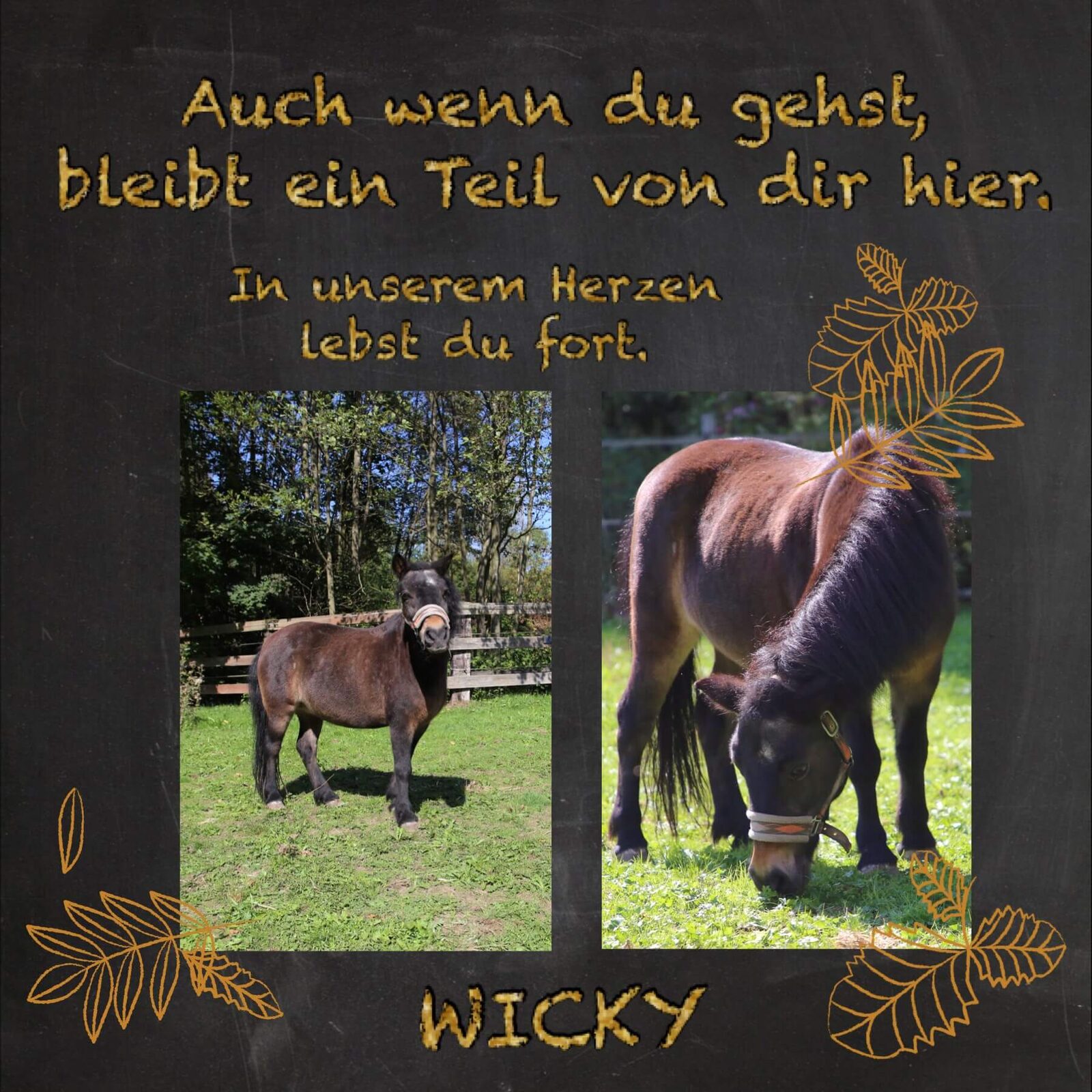 Erinnerungsfoto von Wicky